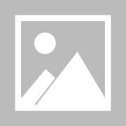 德转显示刘邵子洋以自由身转会至拜仁二队 当前身价20万欧